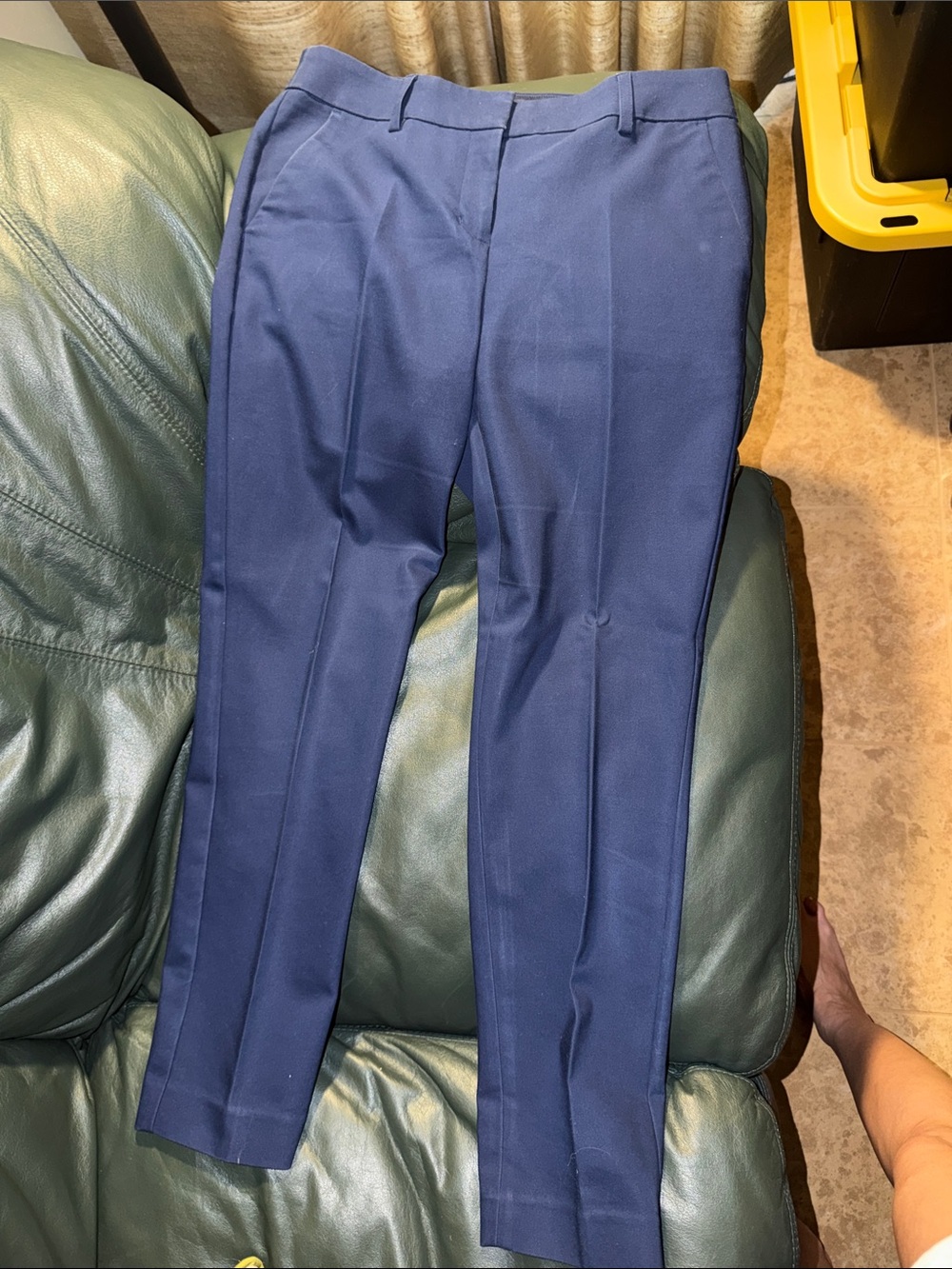 Express Columnist Pants